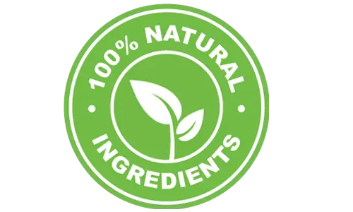 Neuro Surge Natural Ingredients
